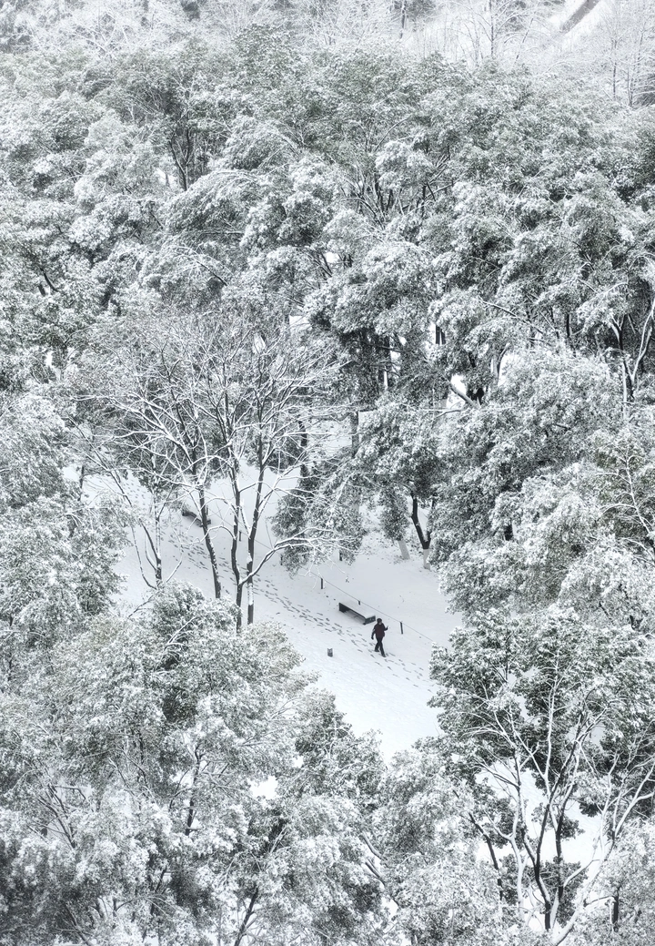 立春望雪