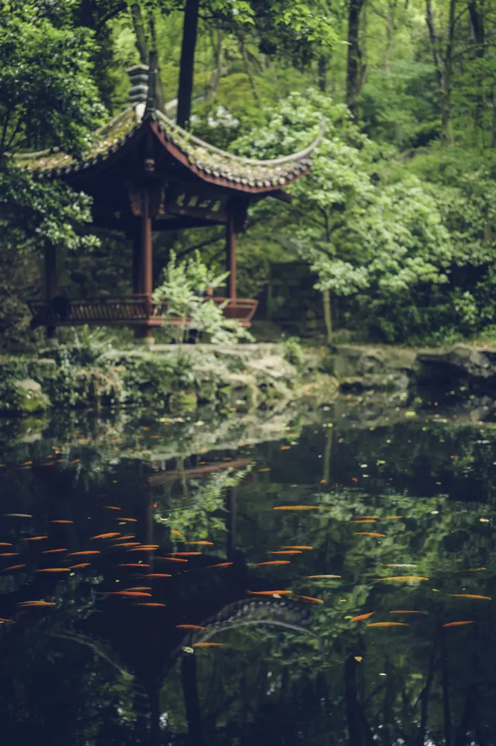 在亭下捡到一片游动的春天