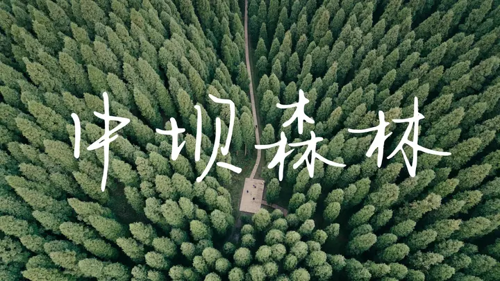 中坝森林 I 远离城市喧嚣，体验自然美好