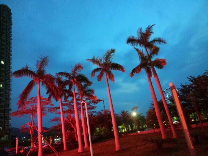 夏 天