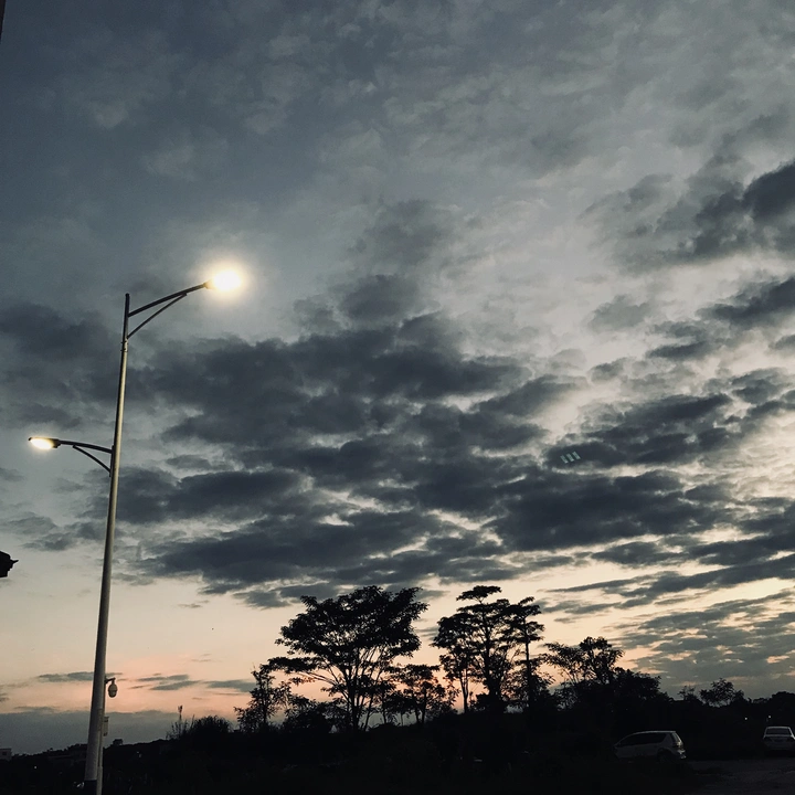 杂记
