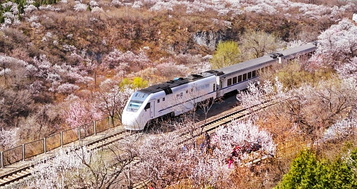 花海列车