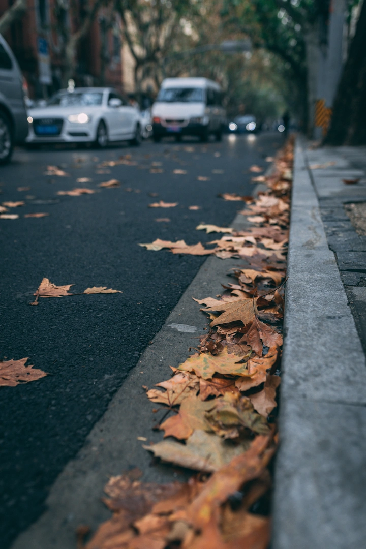 秋天慢一点