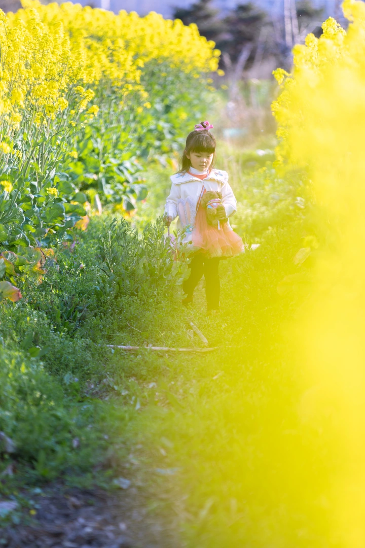 花花世界