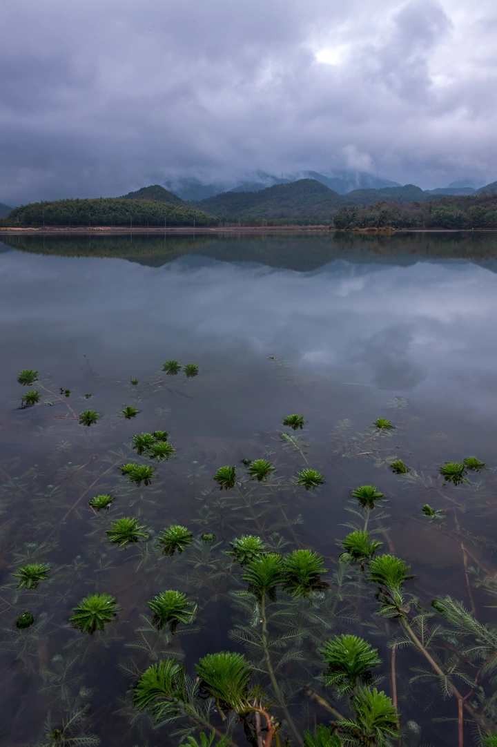 仙女湖