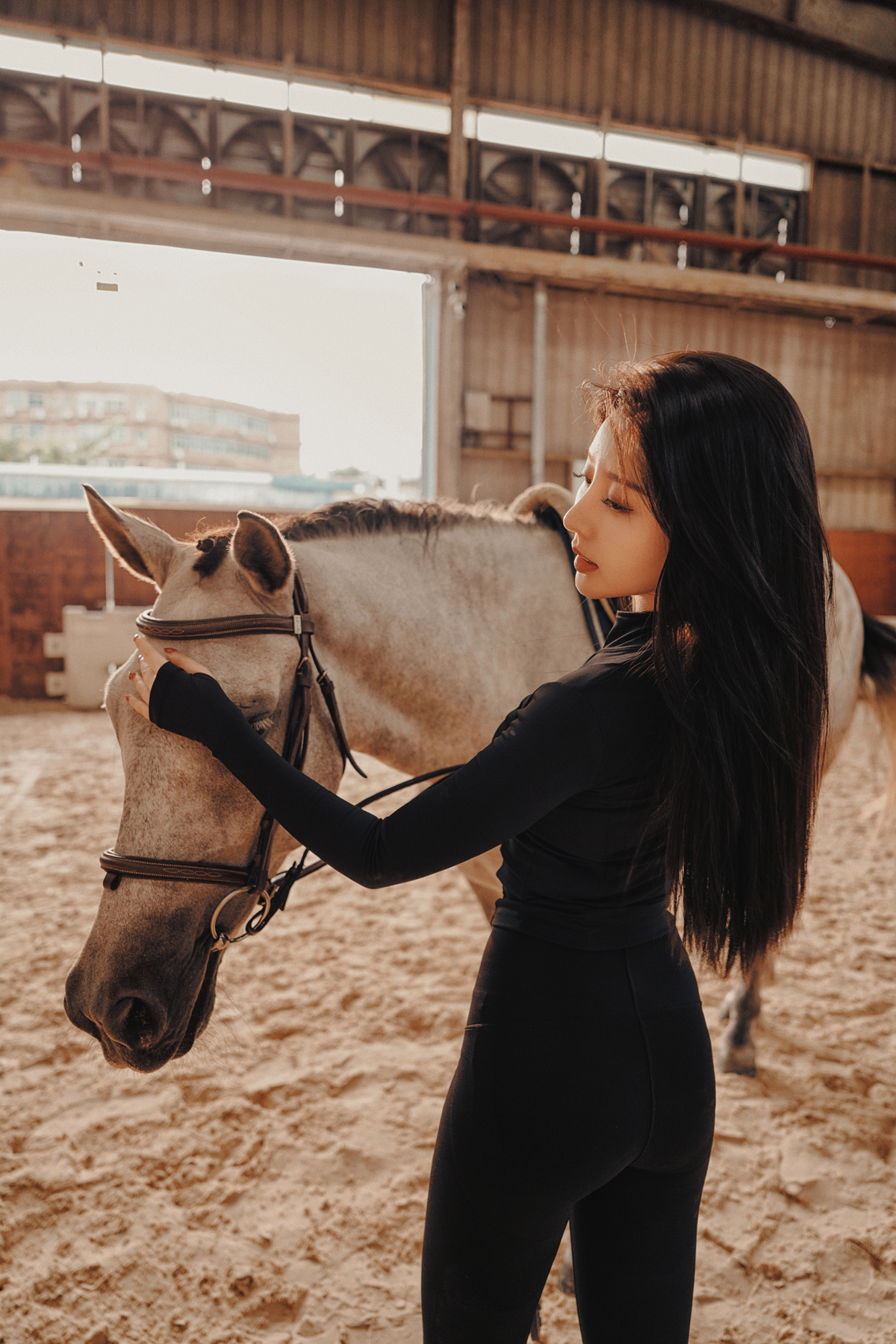 一个年轻女人在马厩里抚摸一匹棕色的马