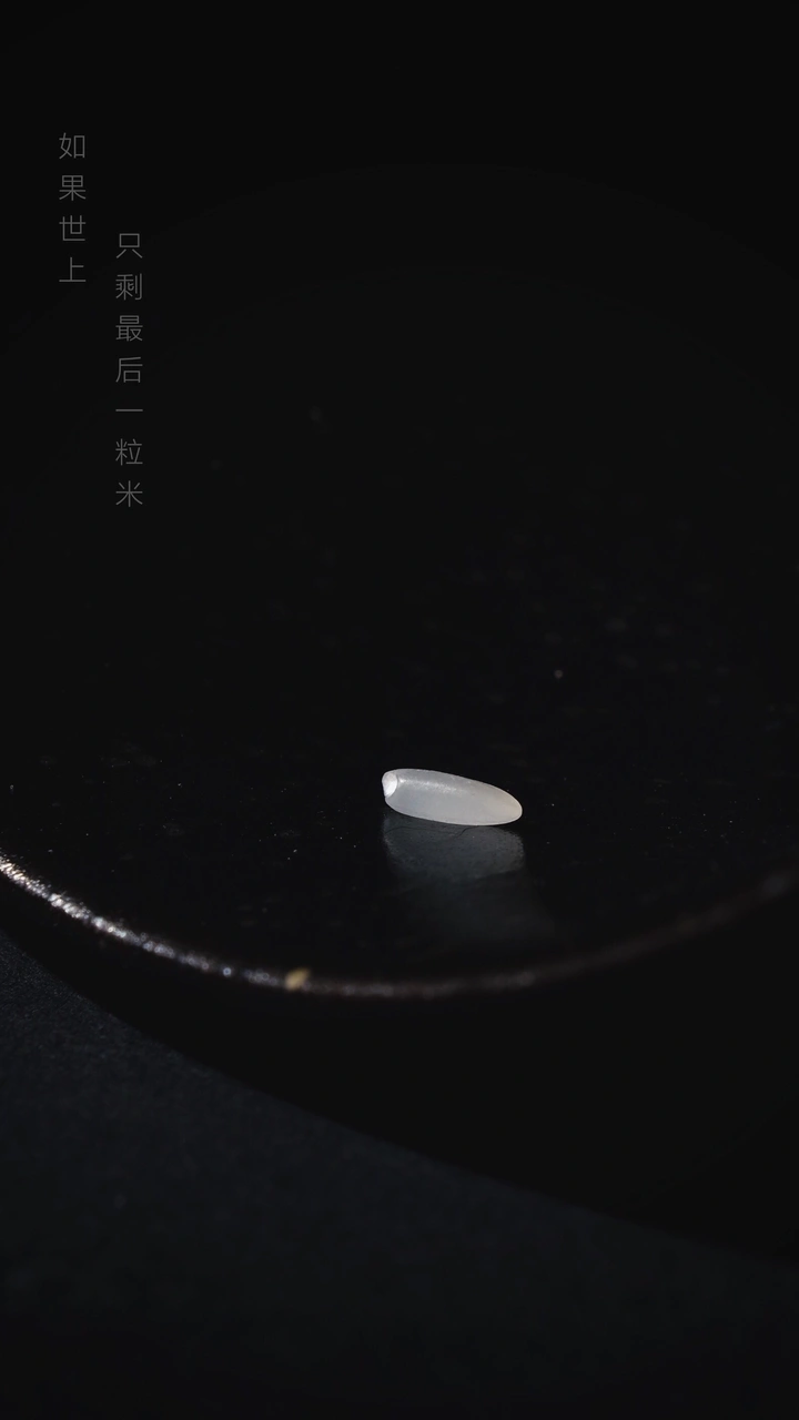 如果世上只剩最后一粒米