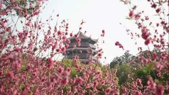 春分