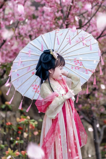 春风急，樱花落