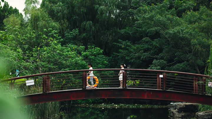 夏•雨后游乐