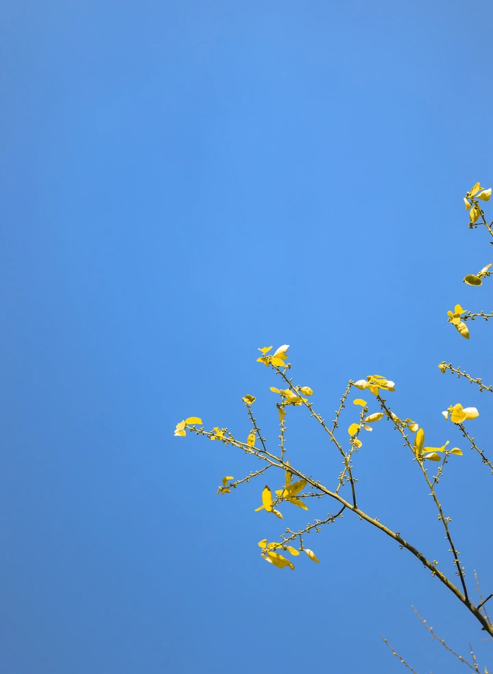 冬日晴空