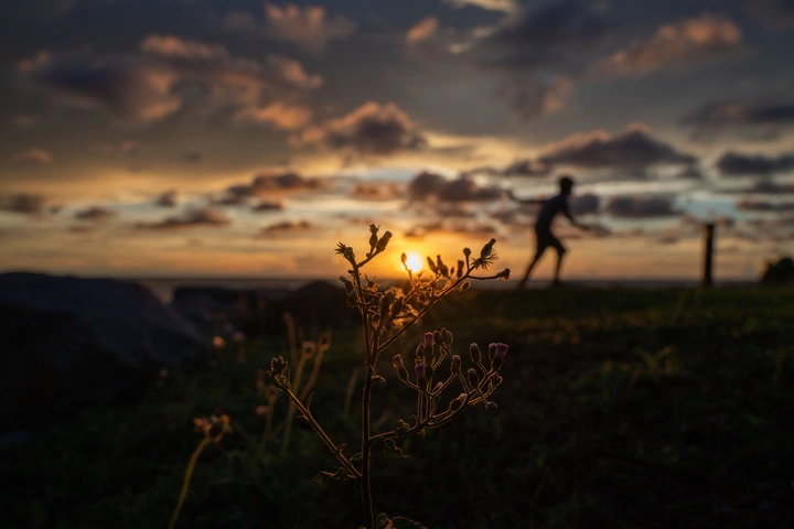夕阳下的奔跑