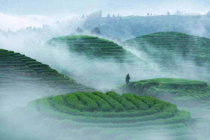 大地指纹