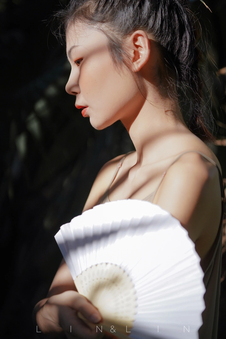 褶皱夏日