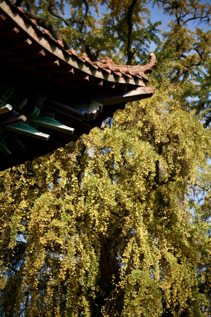 卧佛寺