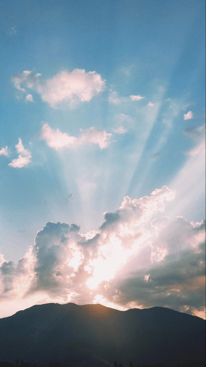 逆光
