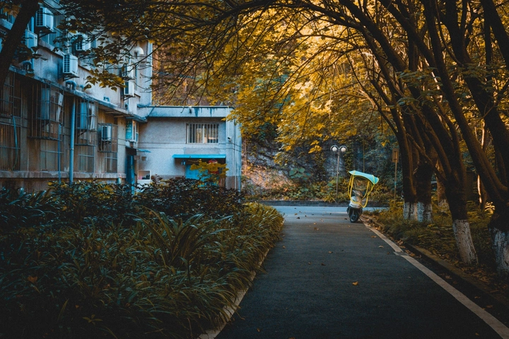 林间