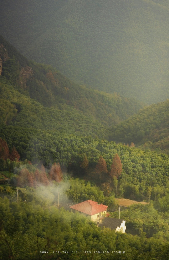 绿谷 树木 山脉 小屋