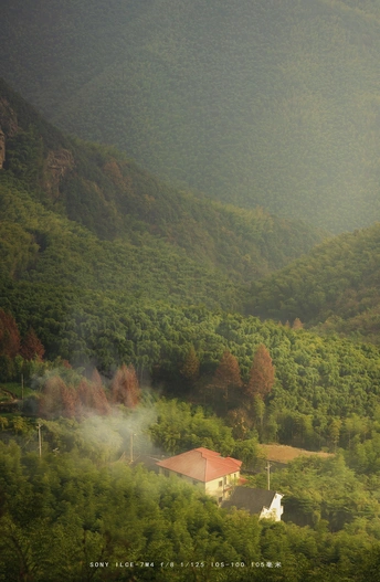 绿谷 树木 山脉 小屋