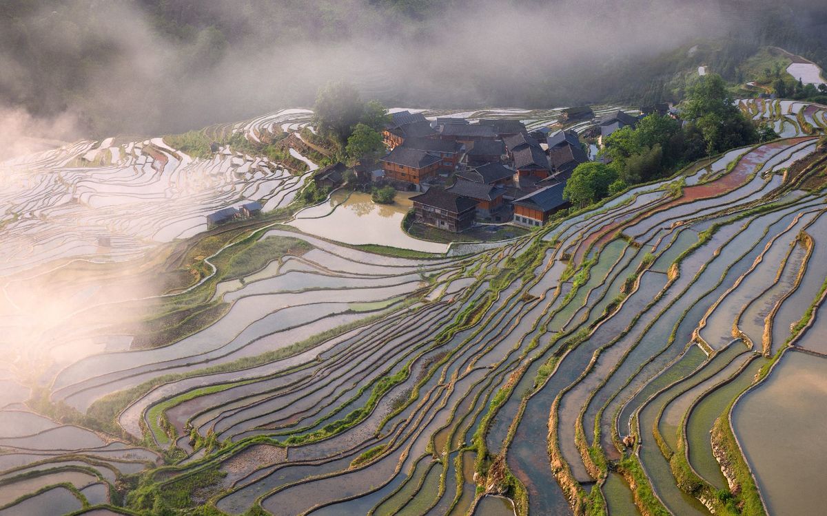 梯田水稻田 背景有水、山、云和村庄。