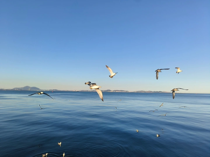 海天一色