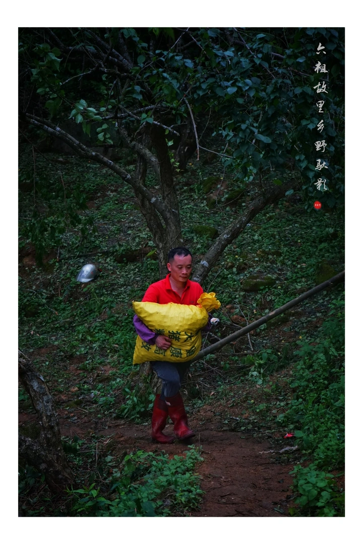 乡野驮影