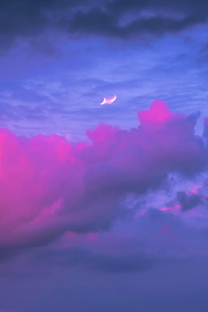 海洋上的紫色落日 配以粉红色云彩