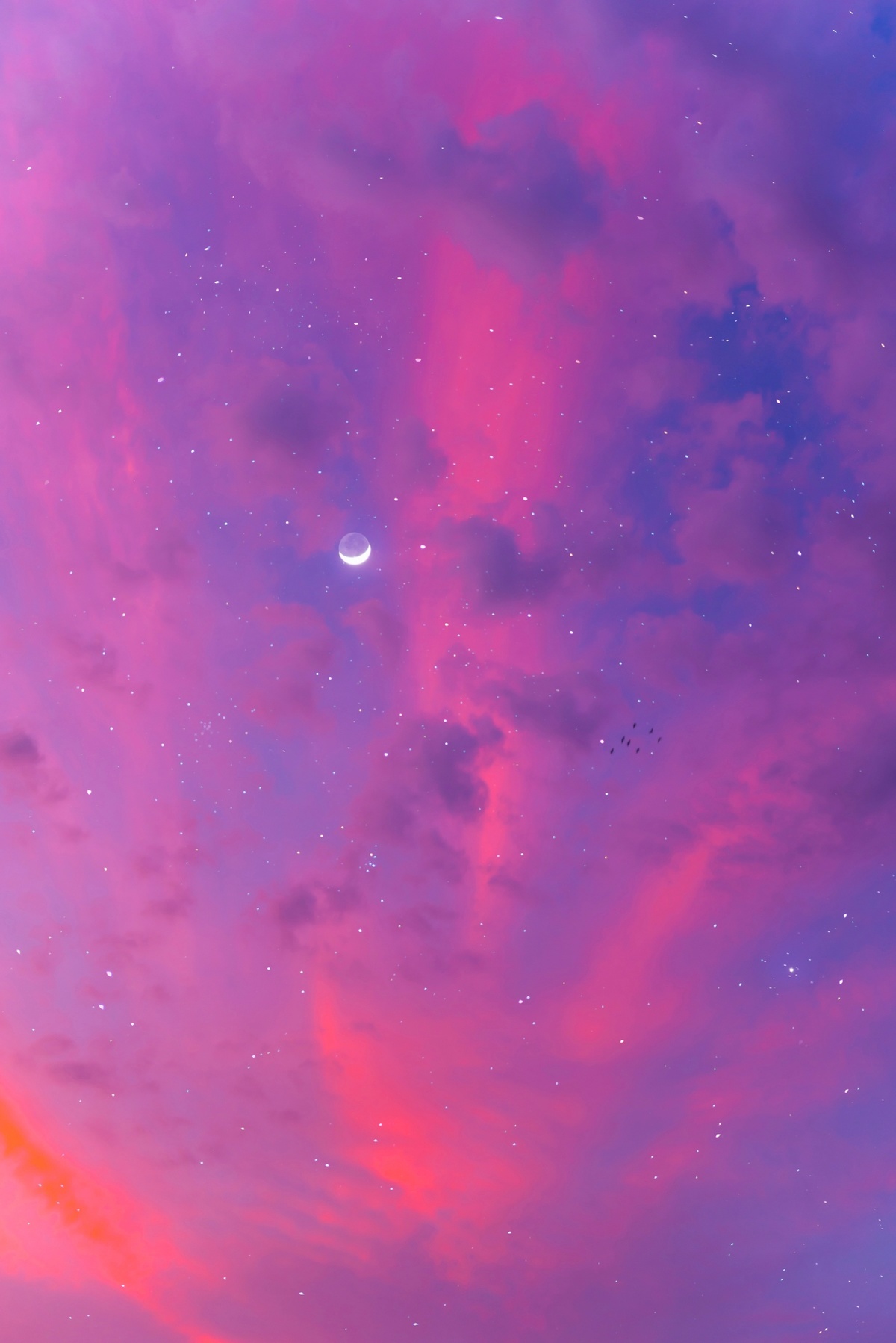 粉色的天空 星星和云朵