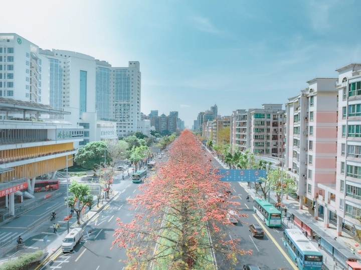 红棉城市