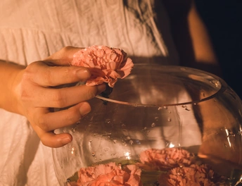 一个人拿着一朵粉红色的花在一个玻璃碗里