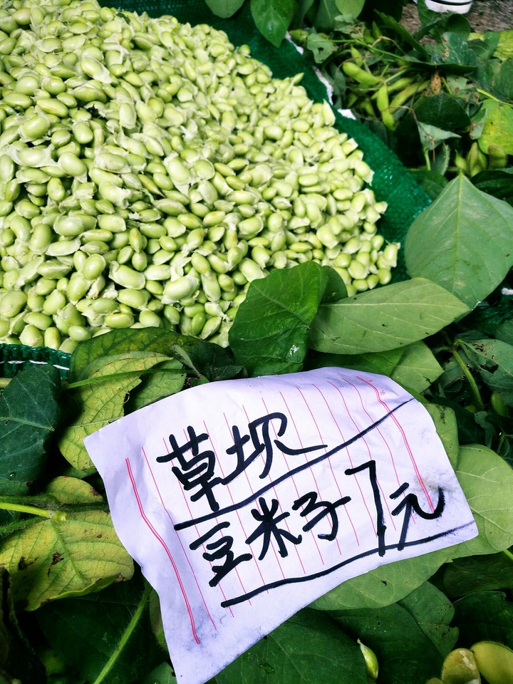 青豆米#华为#