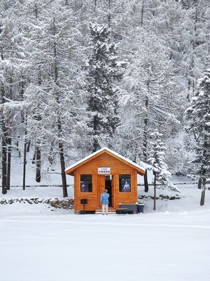 一个小木屋在森林中 周围被雪和雪景树环绕 冬天