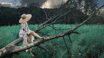 一个穿着裙子和帽子的小女人坐在一片绿色的草地上的一根树枝上