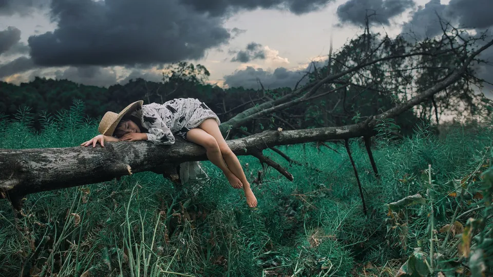一位年轻女子躺在一片树树枝上 在田野中。