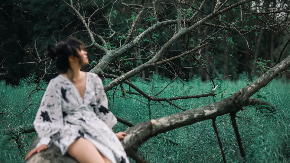 一位穿着连衣裙的年轻女子坐在树林中的一棵树的树枝上
