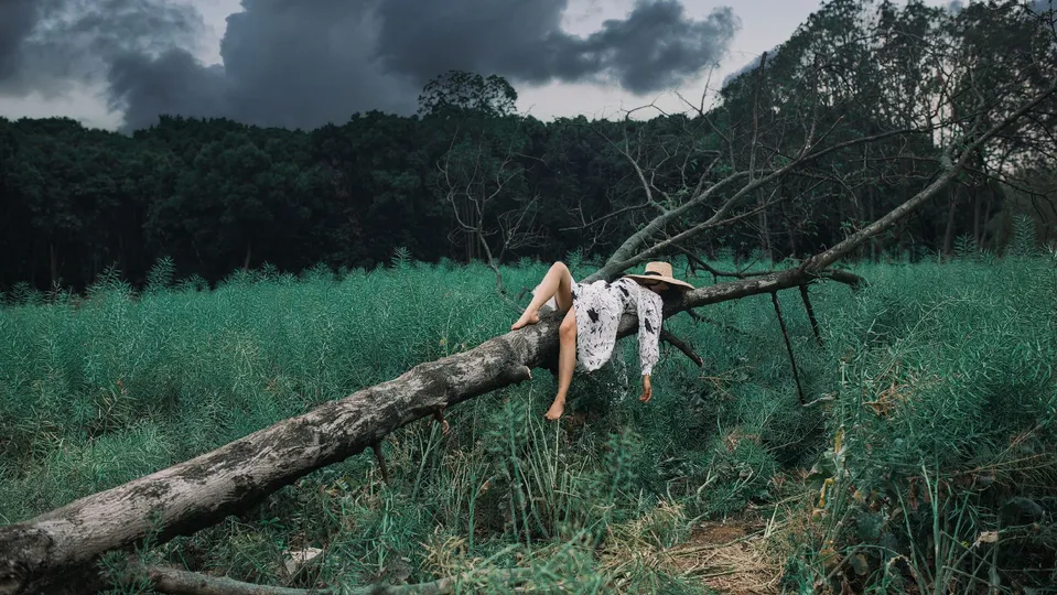 一位女孩躺在绿色的草地上的一根木头上。