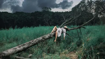 一位女孩躺在绿色的草地上的一根木头上。