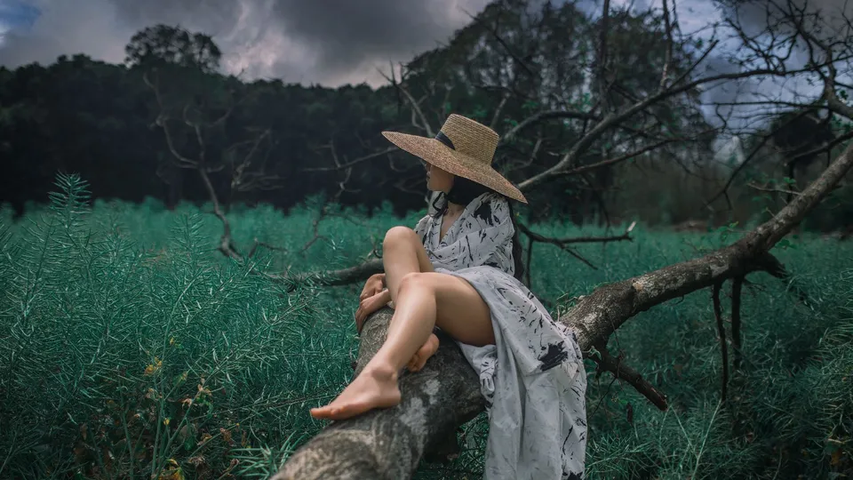 一位穿着连衣裙和帽子坐在树树枝上的女人在田野中