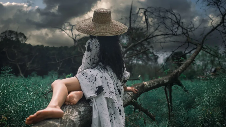 一位穿着连衣裙和帽子 坐在岩石上 靠近一棵树的田地里的女人