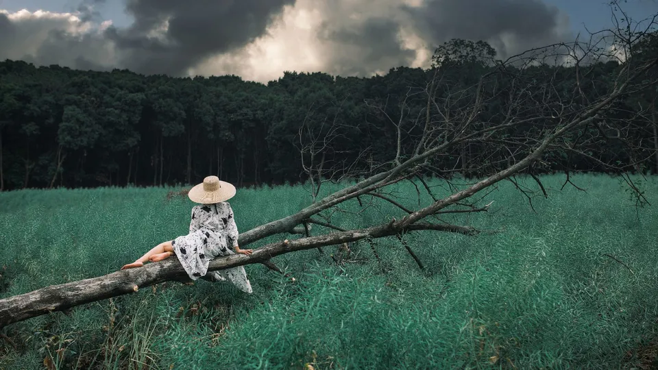 一位穿着裙子和帽子坐在绿色草地上树枝上的女孩