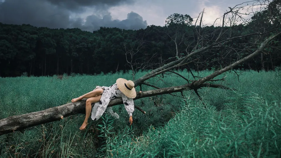 一位年轻女子躺在一片绿草地上的一棵树的树枝上