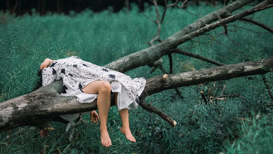 一个穿着白裙子的年轻女子坐在森林草地上的树枝上