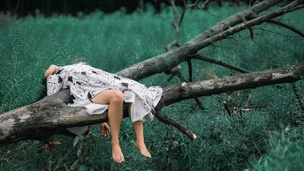 一个穿着白裙子的年轻女子坐在森林草地上的树枝上