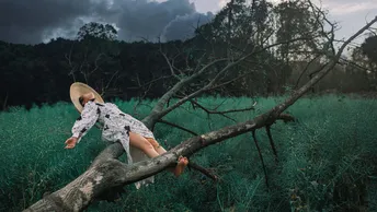 一个戴帽子的年轻女子坐在绿野的树枝上