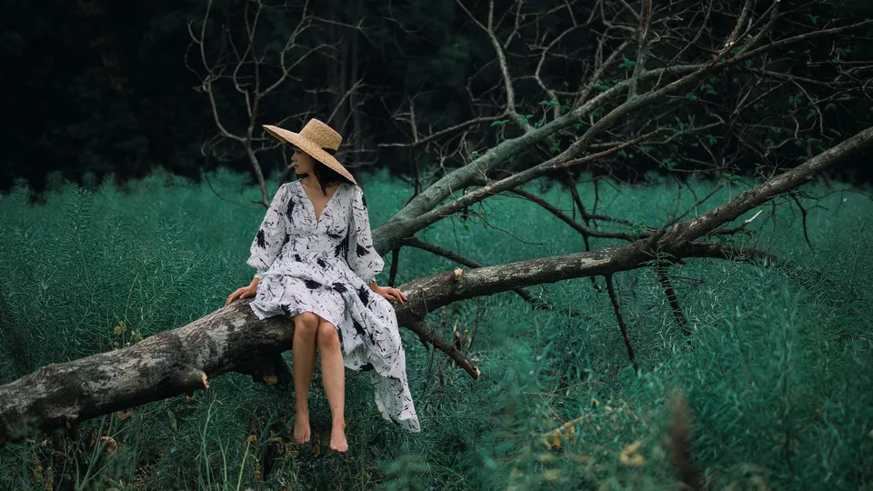 一位穿着连衣裙和帽子坐在树树枝上的年轻女子在田野中