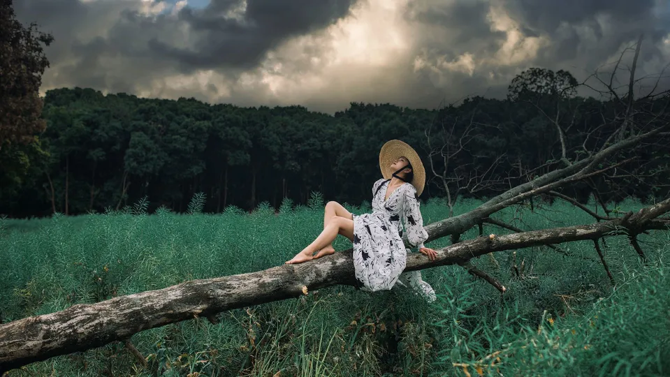 一位穿着连衣裙和帽子坐在树树枝上的年轻女子在田野中