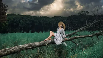 一位穿着连衣裙和帽子坐在树树枝上的年轻女子在田野中