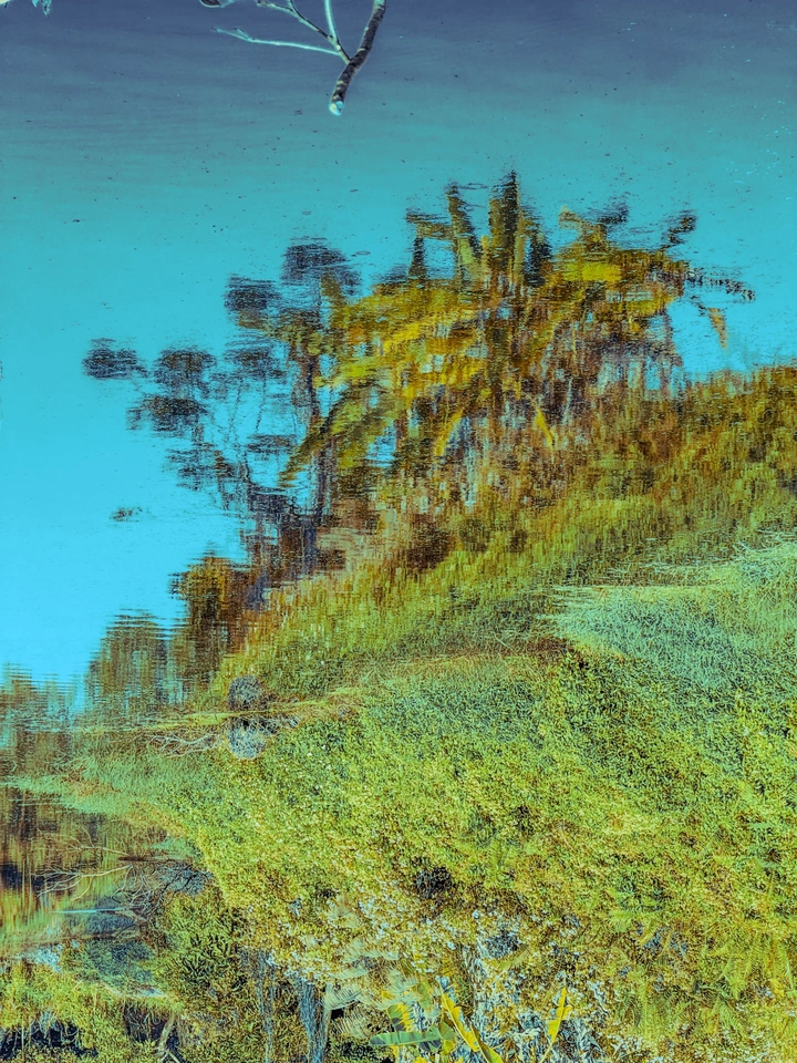 草地面积
