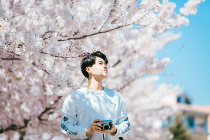 樱花少年