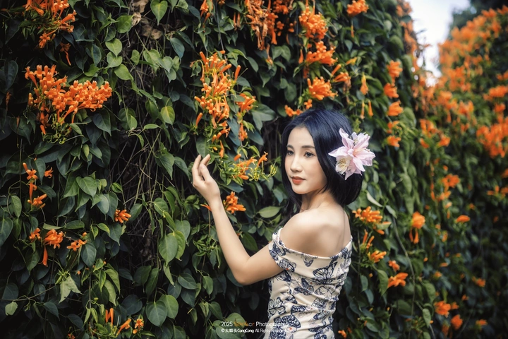春日的炮仗花